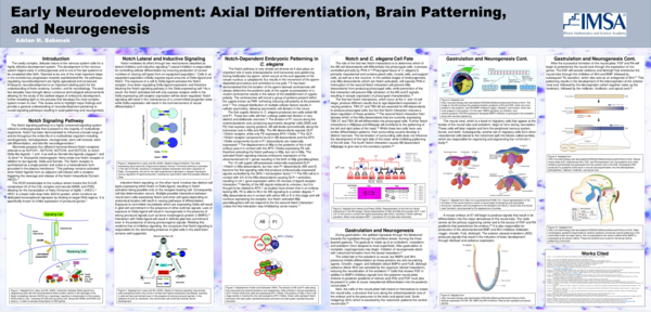 (PDF) Early Neurodevelopment: Notch Signaling, Axial Differentiation ...