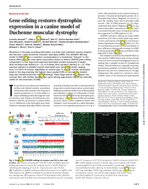 (PDF) Gene editing restores dystrophin expression in a canine model of ...
