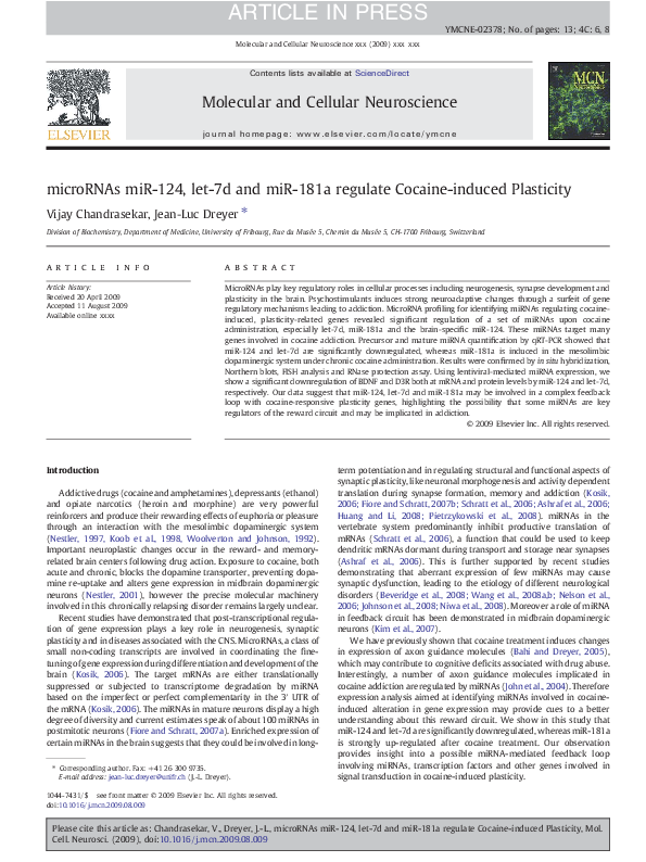 (PDF) Molecular and Cellular Neuroscience