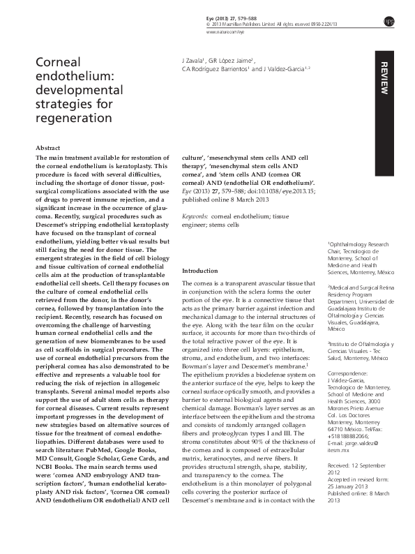 (PDF) Corneal endothelium: developmental strategies for regeneration