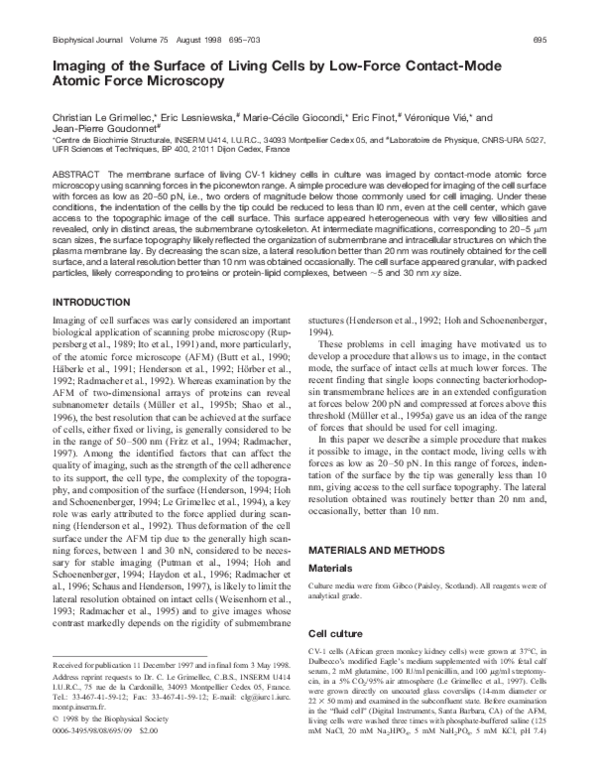(PDF) Imaging of the surface of living cells by low-force contact-mode ...