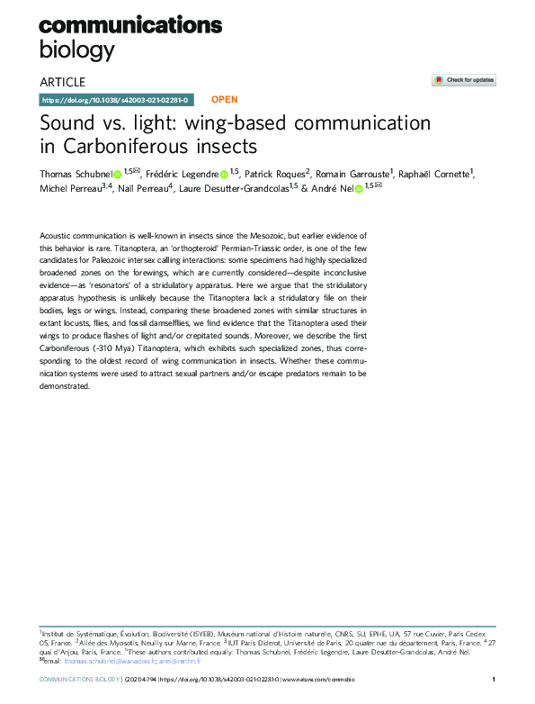 (PDF) Sound vs. light: wing-based communication in Carboniferous insects