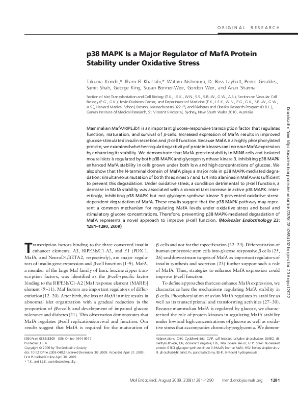 (PDF) p38 MAPK is a major regulator of MafA protein stability under ...