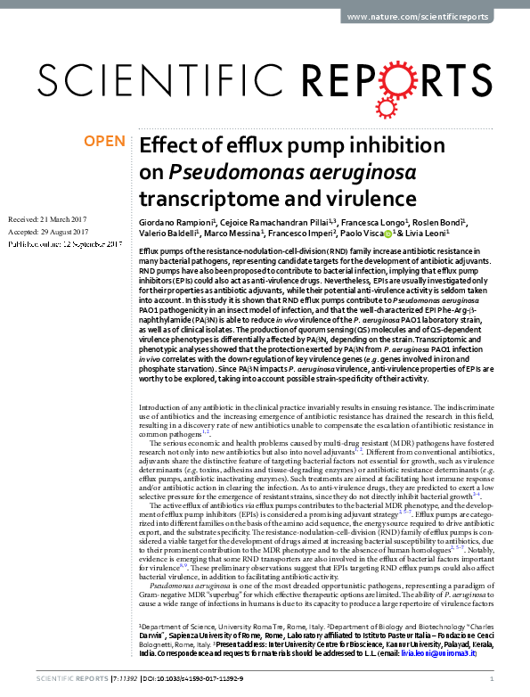 (PDF) Effect of efflux pump inhibition on Pseudomonas aeruginosa ...