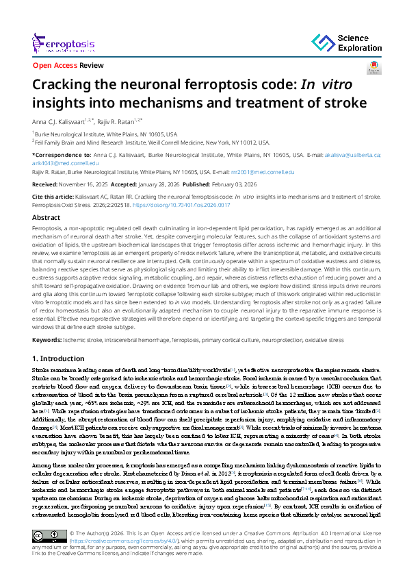 (PDF) Cracking the neuronal ferroptosis code: In vitro insights into ...