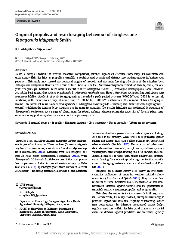 (PDF) Origin of propolis and resin foraging behaviour of stingless bee ...
