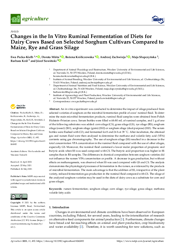 (PDF) Changes in the In Vitro Ruminal Fermentation of Diets for Dairy ...