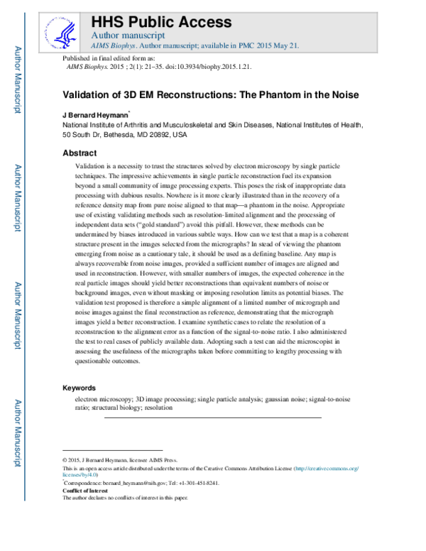 (PDF) Validation of 3D EM Reconstructions: The Phantom in the Noise
