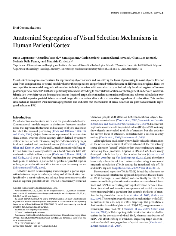 (PDF) Anatomical Segregation of Visual Selection Mechanisms in Human ...