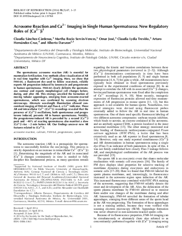 (PDF) Acrosome Reaction and Ca2+ Imaging in Single Human Spermatozoa ...
