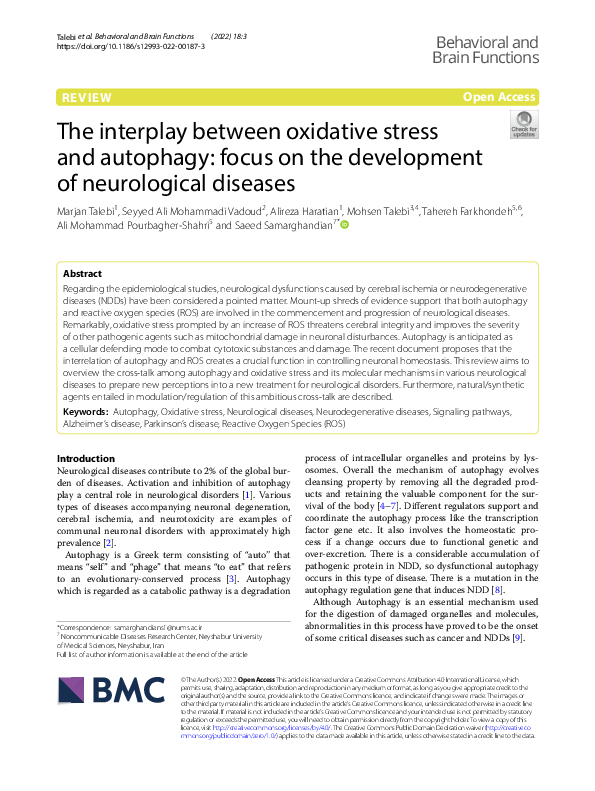(PDF) The interplay between oxidative stress and autophagy: focus on ...