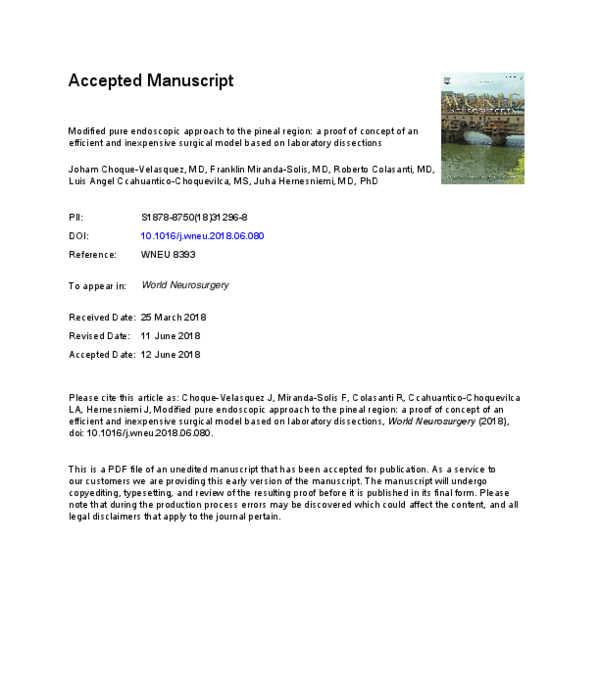 (PDF) Modified pure endoscopic approach to the pineal region: a proof ...