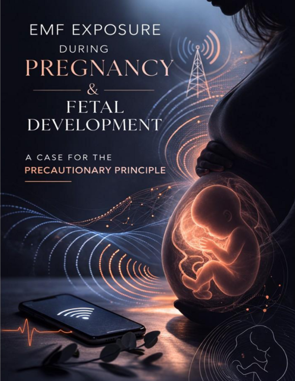 (PDF) EMF Exposure to Pregnancy & Fetal Development: Why the ...
