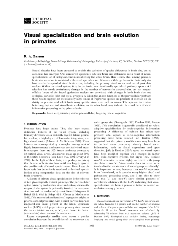 (PDF) Visual specialization and brain evolution in primates