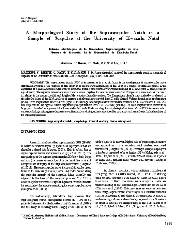 (PDF) A Morphological Study of the Suprascapular Notch in a sample of ...