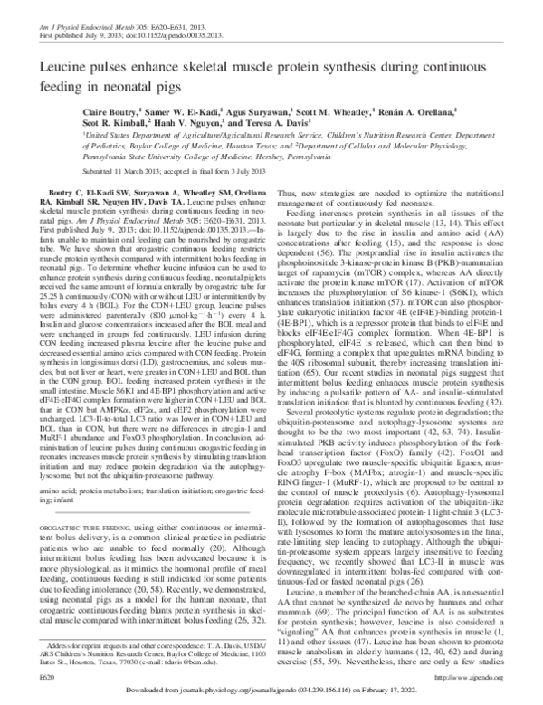 (PDF) Leucine pulses enhance skeletal muscle protein synthesis during ...