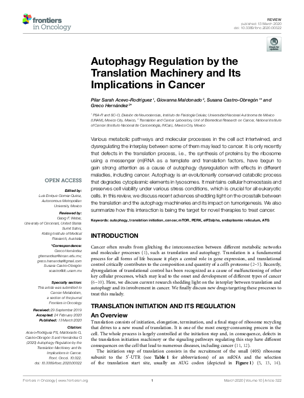 (PDF) Autophagy Regulation by the Translation Machinery and Its ...