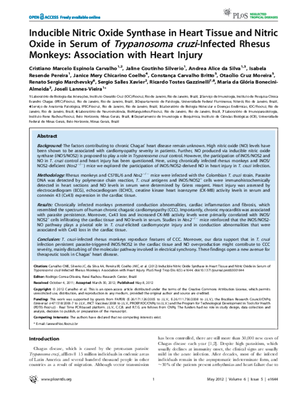 (PDF) Inducible Nitric Oxide Synthase in Heart Tissue and Nitric Oxide ...