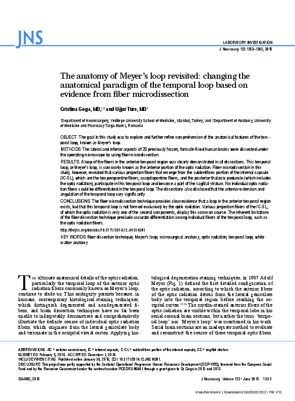 (PDF) The anatomy of Meyer's loop revisited: changing the anatomical ...
