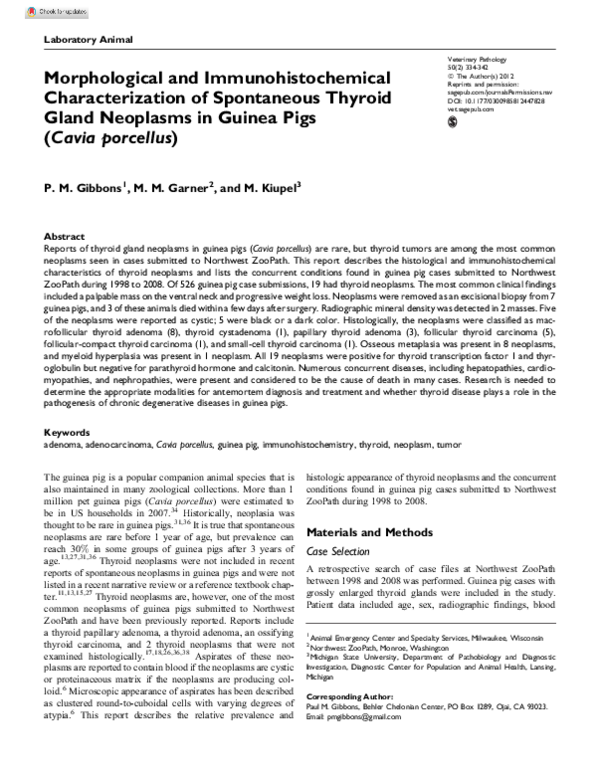 (PDF) Morphological and Immunohistochemical Characterization of ...