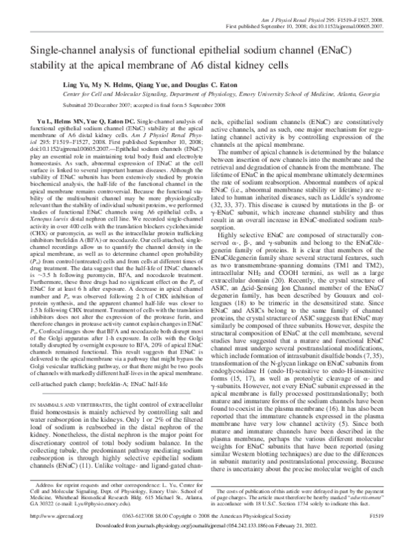 (PDF) Single-channel analysis of functional epithelial sodium channel ...