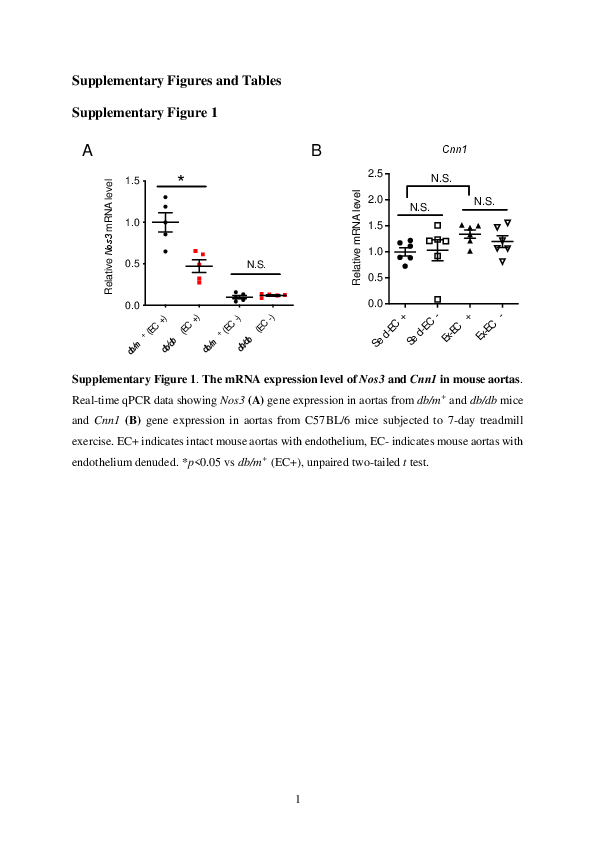 (PDF) Induction of KLF2 by exercise activates eNOS to improve ...