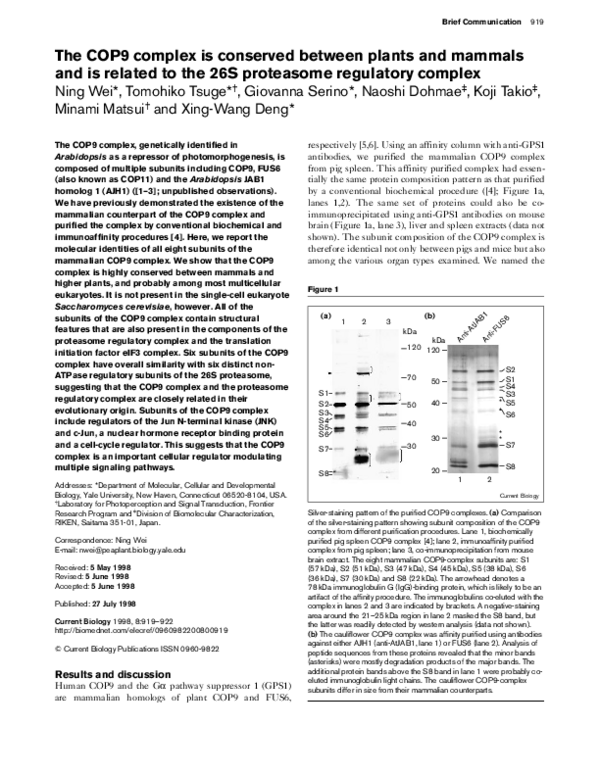 (PDF) The COP9 complex is conserved between plants and mammals and is ...