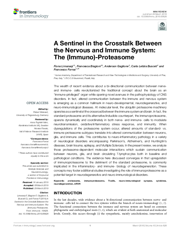 (PDF) A Sentinel in the Crosstalk Between the Nervous and Immune System ...