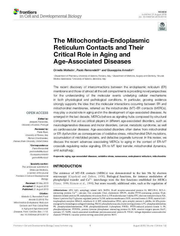 (PDF) The Mitochondria–Endoplasmic Reticulum Contacts and Their ...