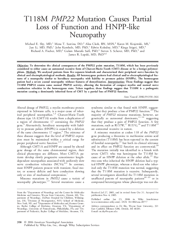 (PDF) T118M PMP22 mutation causes partial loss of function and HNPP ...