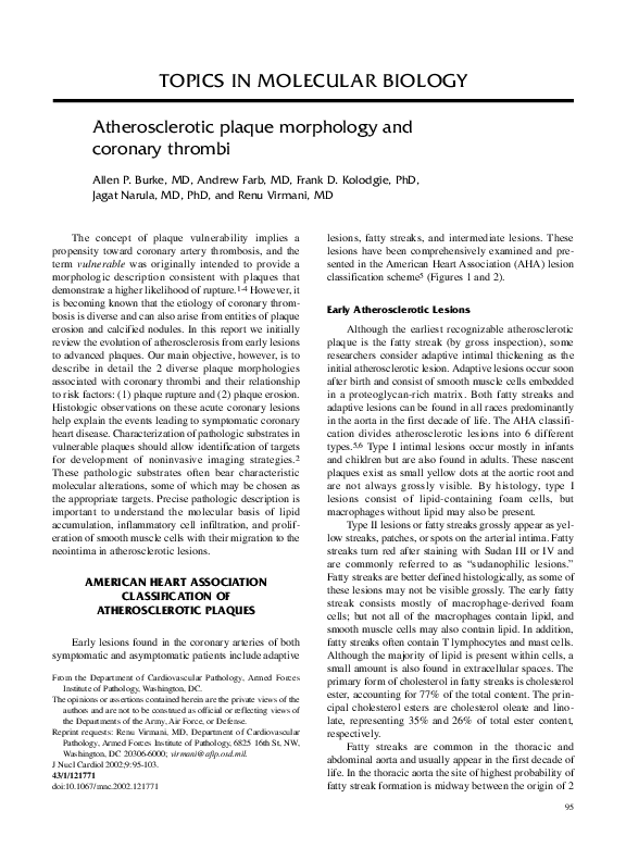 (PDF) Atherosclerotic plaque morphology and coronary thrombi
