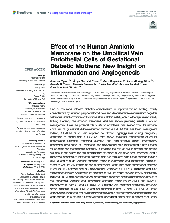 (PDF) Effect of the Human Amniotic Membrane on the Umbilical Vein ...