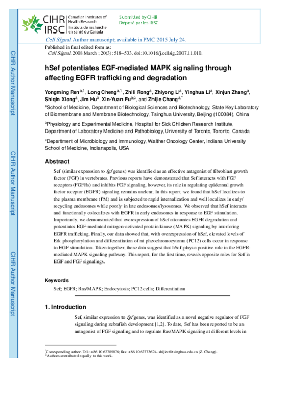 (PDF) hSef potentiates EGF-mediated MAPK signaling through affecting ...