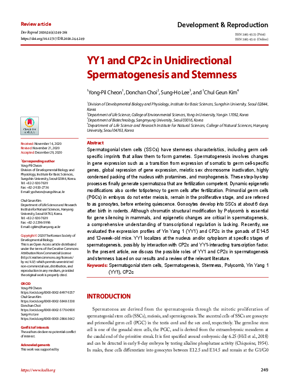 (PDF) YY1 and CP2c in Unidirectional Spermatogenesis and Stemness