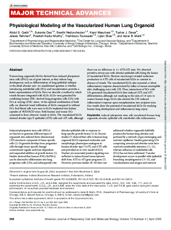 (PDF) Physiological Modeling of the Vascularized Human Lung Organoid