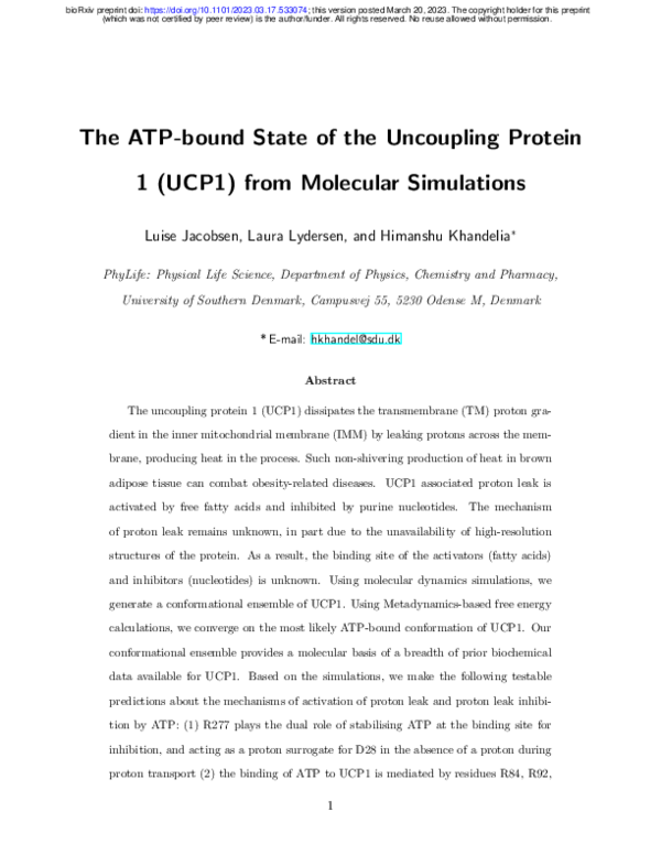 (PDF) The ATP-bound State of the Uncoupling Protein 1 (UCP1) from ...