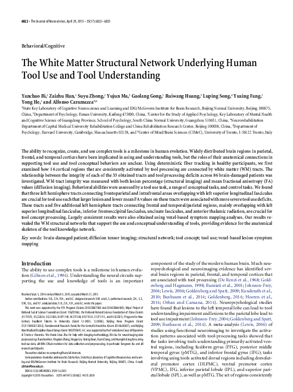 (PDF) The White Matter Structural Network Underlying Human Tool Use and ...