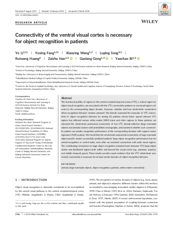 (PDF) Connectivity of the ventral visual cortex is necessary for object ...