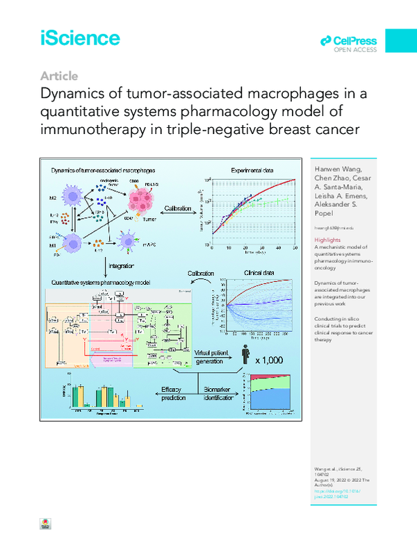 (PDF) Dynamics of tumor-associated macrophages in a quantitative ...