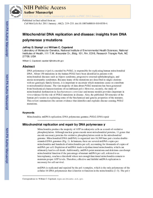 (PDF) Mitochondrial DNA replication and disease: insights from DNA ...