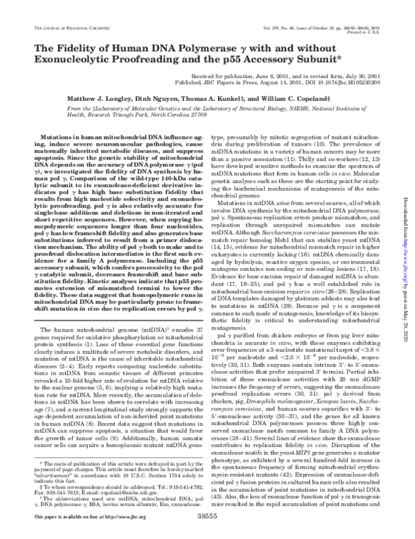 (PDF) The Fidelity of Human DNA Polymerase γ with and without ...