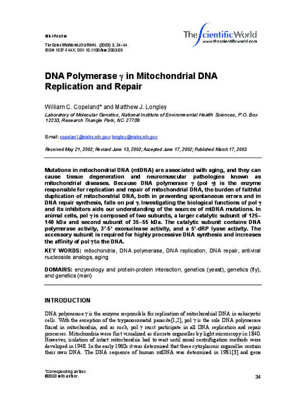 (PDF) DNA Polymerase Gamma in Mitochondrial DNA Replication and Repair