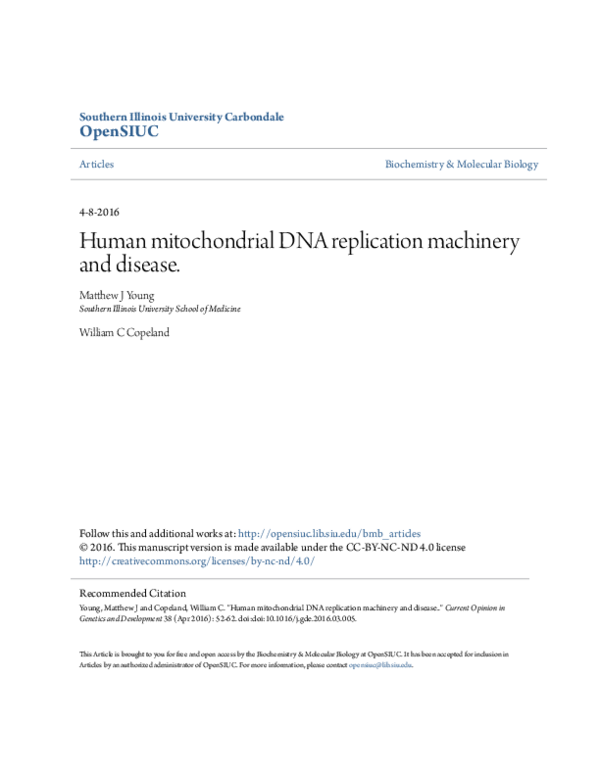 (PDF) Human mitochondrial DNA replication machinery and disease