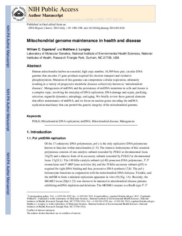 (PDF) Mitochondrial genome maintenance in health and disease