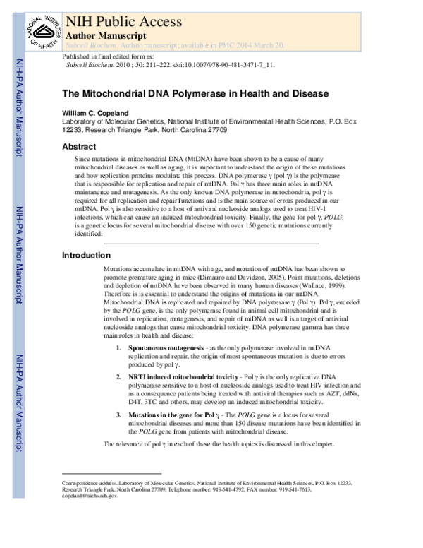 (PDF) The Mitochondrial DNA Polymerase in Health and Disease