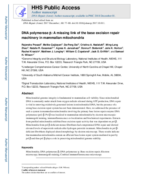 (PDF) DNA polymerase β: A missing link of the base excision repair ...