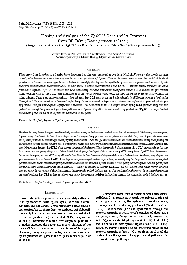 (PDF) Cloning and Analysis of the Eg4CL1 Gene and Its Promoter from Oil ...