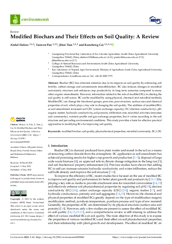 (PDF) Modified Biochars and Their Effects on Soil Quality: A Review