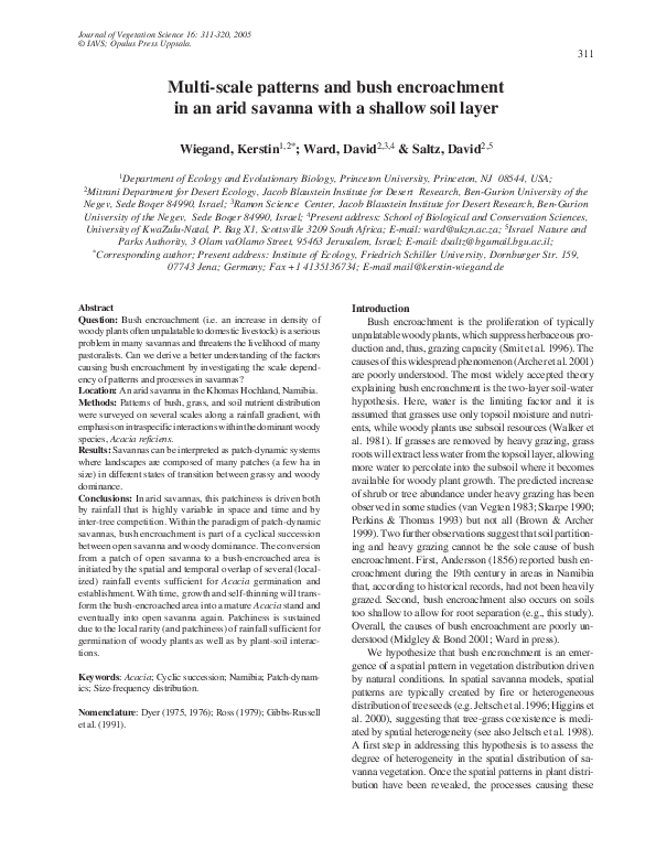 (PDF) Multi‐scale patterns and bush encroachment in an arid savanna ...