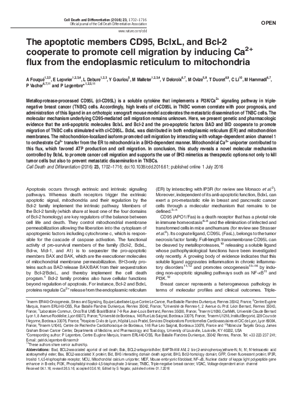 (PDF) The apoptotic members CD95, BclxL, and Bcl-2 cooperate to promote ...